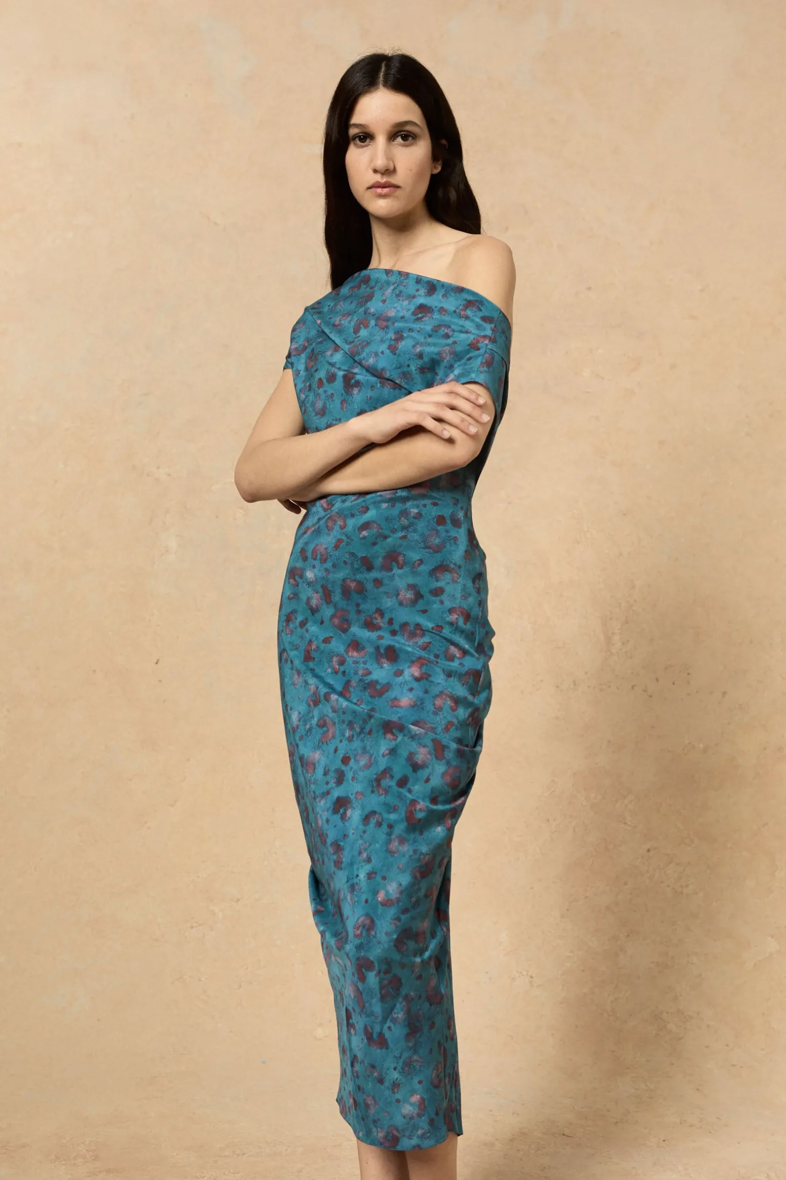 Camaron, stretch silk isla print dress