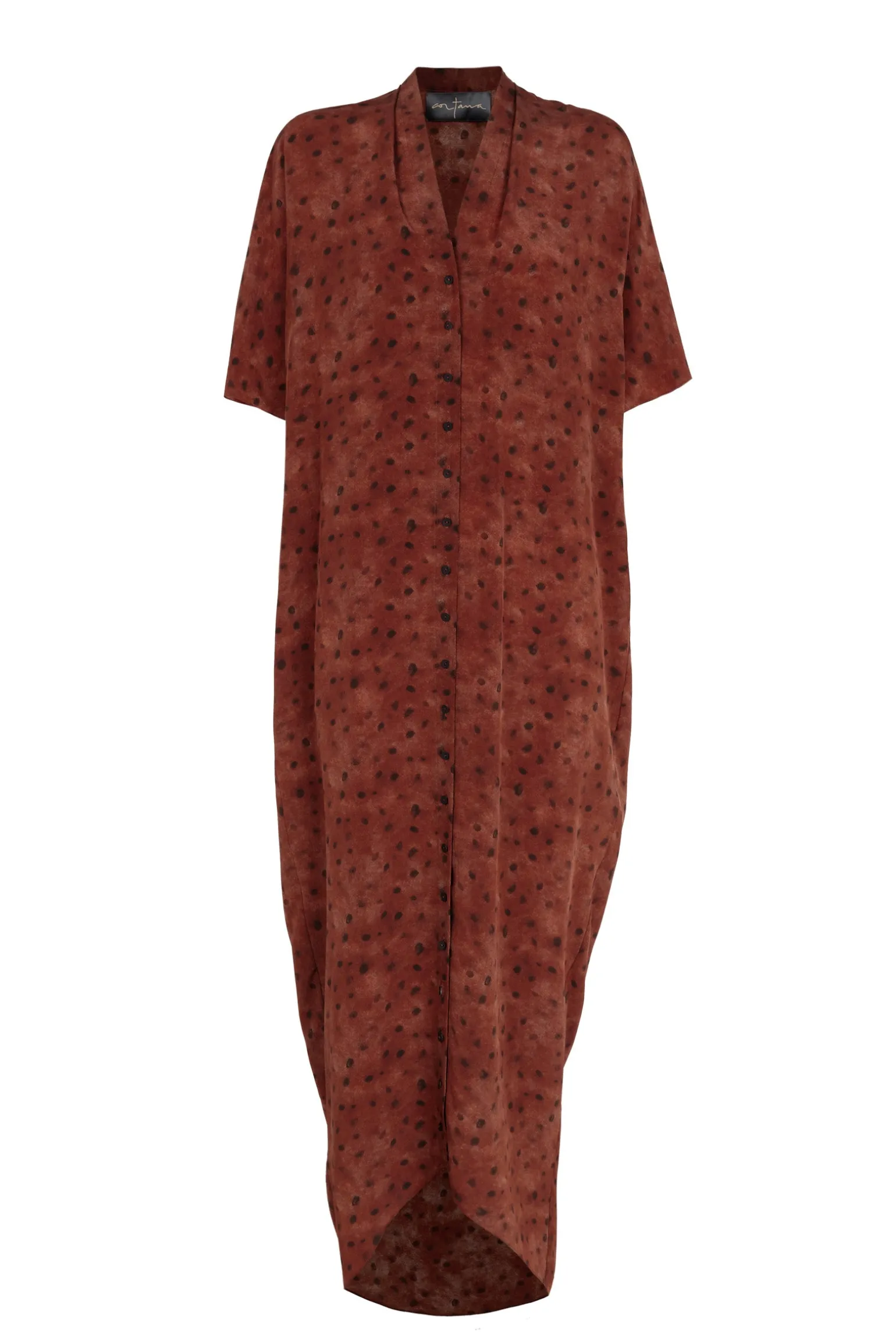 Lady bug, dots print silk dress