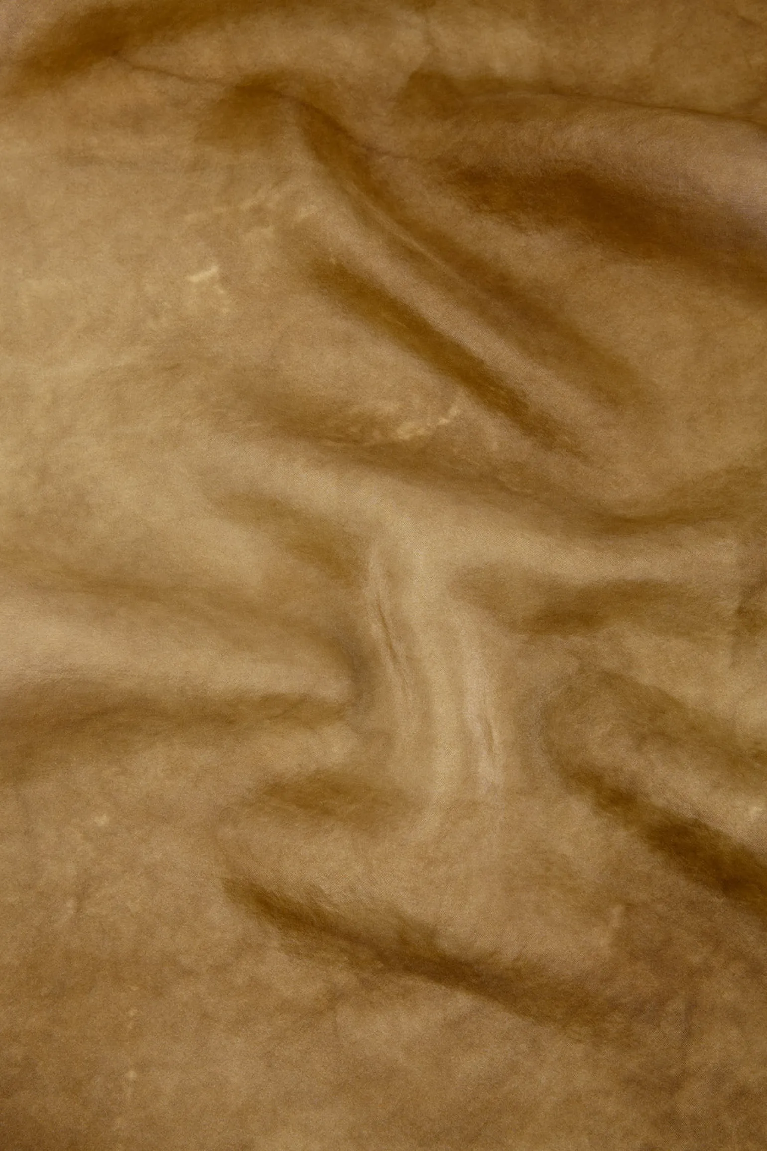 Park, bronze maltinto silk scarf