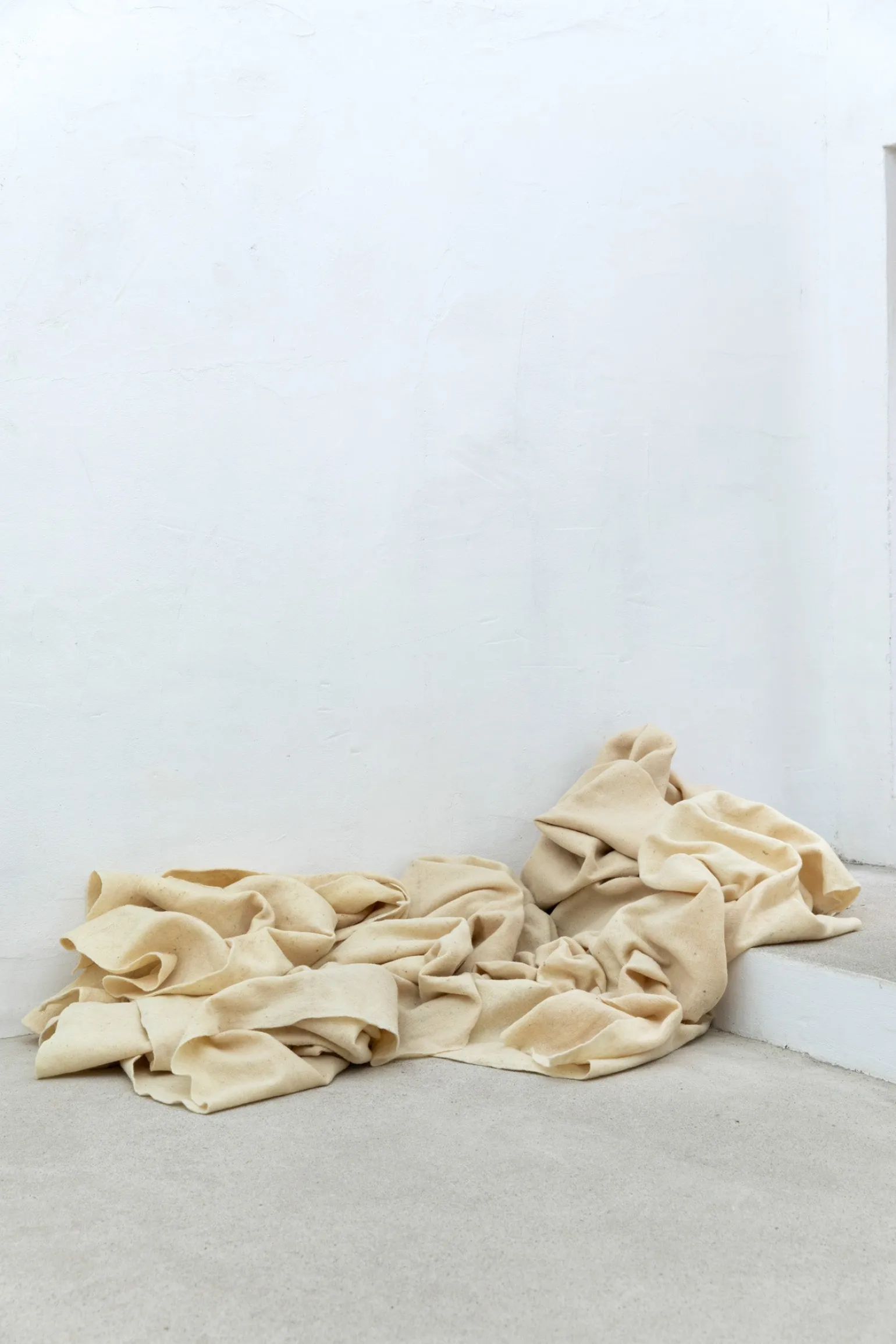 Virgin wool blanket
